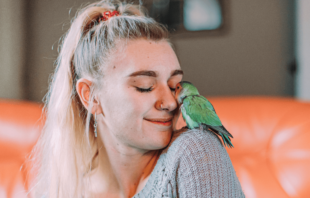 Tjej med lovebird - Starnila djurvakt